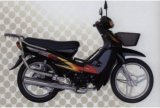 Motorcycle (CTM100-8A)