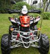 ATV(Quads)