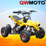Mini ATV 49CC ATV 2 Stroke ATV for Kids (QW-ATV-12)