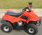 2014 Promote Quad Bike Import