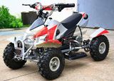 Big Discount 800W Electric ATV