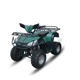 50cc/110cc/125cc ATV (ZC-ATV-02C)