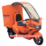 Electric Trike Scooter / Electric Tricycle (DM82D)