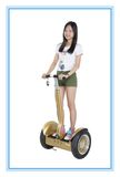 35km 2 Large Wheel Electric Scooter Standing up