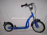 Steel Frame Foot Scooter (SC1612C)