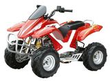 110CC Quad Bike with EPA (TS-ATV110-F)