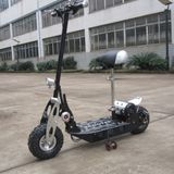 36V Electric Scooter With CE (SX-E1013-500)