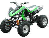 ATV / Quad (WJ250ST-6)