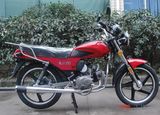 Street Bike (WJ100)