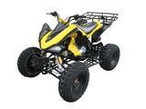 110CC ATV Quad (ATV110-9A) 