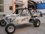 Do Youself Dune Buggy