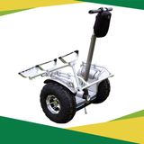 Eswing 2 Wheels Electric Stand up Electric Scooter for Adults