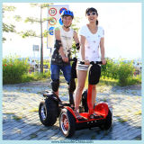 2 Wheel Adult Electric Scooter (ESIII)