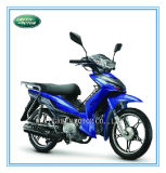 125cc /120cc/110cc/100cc/70cc/50cc Motorcycle, Cub Motorcycle, Moped (Nevigator)