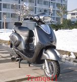 700w Electric Scooter With Pedal (AG-EB-024) 