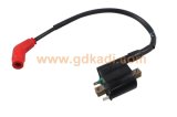 Eco100 Ignition Coil Motorcycle Parts