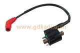 Eco100 Ignition Coil Motorcycle Parts