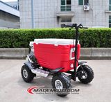 43cc 4 Stroke Cooler Scooter (GS4301)