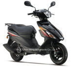 Hot Sell Cheaper Good Design 125cc Scooter