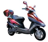 600W, 800W, 1000W Electric Scooter