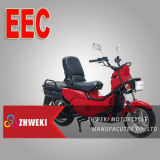 Motorcycle (ZW150T-8)