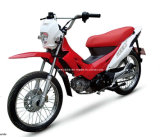 Economic Cub Motorcycle (JL110-13)