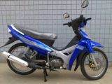 Motorcycle/Cub Motorcycle/Motorbike (SP110-10A) Nano