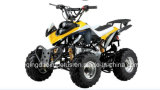125cc ATV for Kids with 7