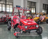 Cheap China Two Seater Go Karts for Sale