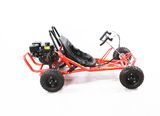 Buggy Go Kart 196cc Go Kart Hydraulic Disc Brake Go Kart, Pull Start