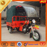 Ducar Hot Selling 200cc Three Wheel Cargo Motorcycles