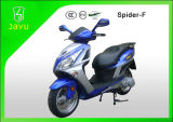 2014 New Model Taizhou Scooter (SPIDER-50)