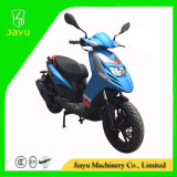New Hot Sale Model 125cc Scooter (typhoon-125)
