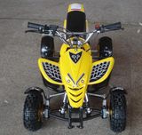 Mini Quad / ATV