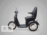 Electric Tricycle