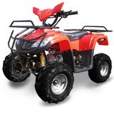 110CC ATV (HD-50E-2) 