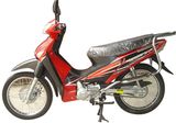 Motorcycle (ACE110-3)