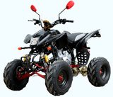 200CC ATV Water Cooled (ZAC200ST)