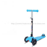 Kick Scooter with 125mm PU Wheel (YV-083)