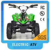 Electric Mini ATV