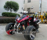 Zhejiang Wholesale 250cc 3wheel ATV China