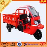 Three Wheeled Hot Selling Motorcycle