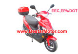 New Style 49CC 4-Stroke Scooter (50QT-6B)
