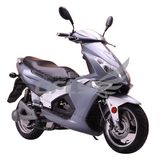 Electric Scooter (BJ5002EEC/EPA)