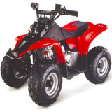 ATV Quad (BD50ST-B)