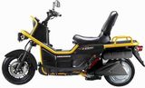 Electric Motorcycle (ZS1500DT-1)