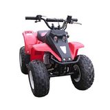 50cc Mini ATV with Remote Control(KST50A-1)