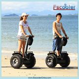 CE Approved Standing Power Electric Mobility Scooter