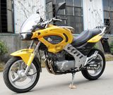 EEC EPA/DOT Approved Gas Motor Scooter Equipped with 4 Stoke 250CC Engine