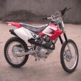 Dirt Bike (XW-D10)